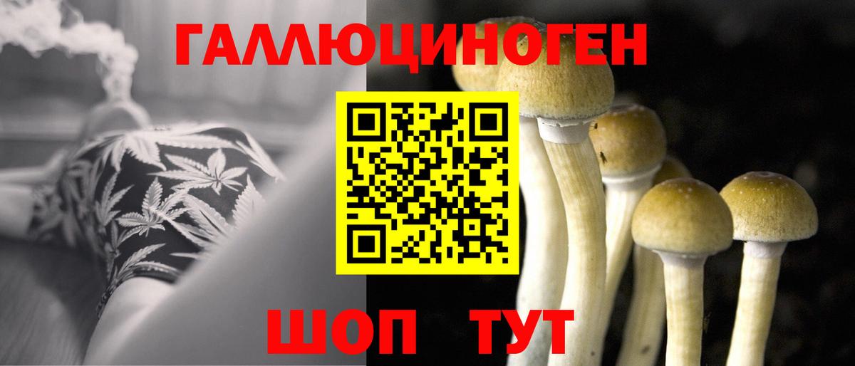 Галлюциногенные грибы Cubensis  Вход с VPN  Нягань 